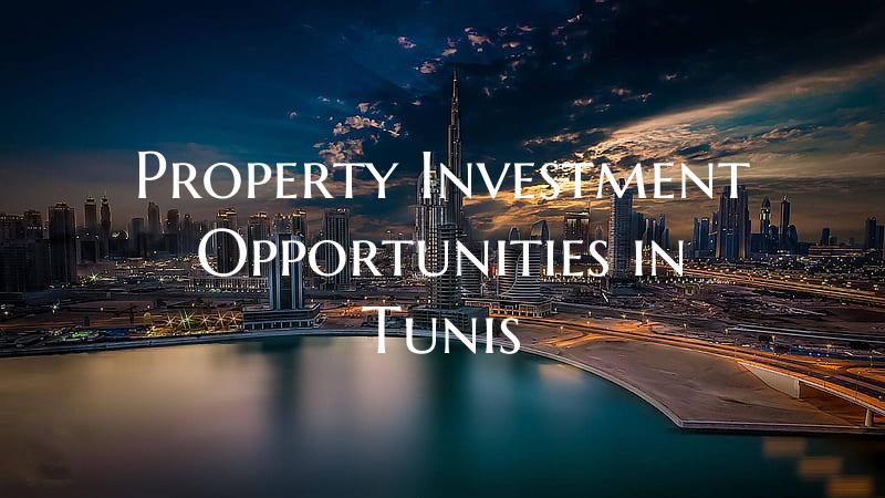 Property Investment Opportunities in Tunis